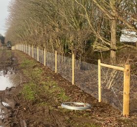 Rabbit Fencing Retford: Click Here To View Larger Image